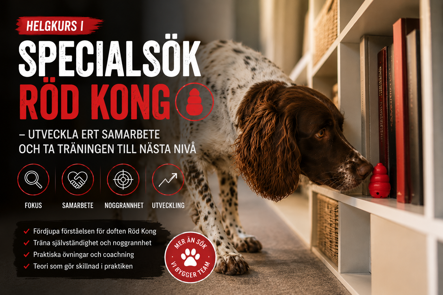viltspår kurs nyköping
